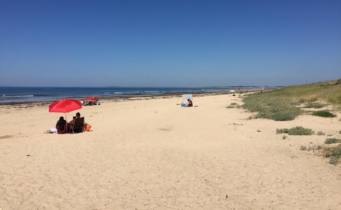 Beach Mane Guen'in fotoğrafı açık bej kum yüzey ile