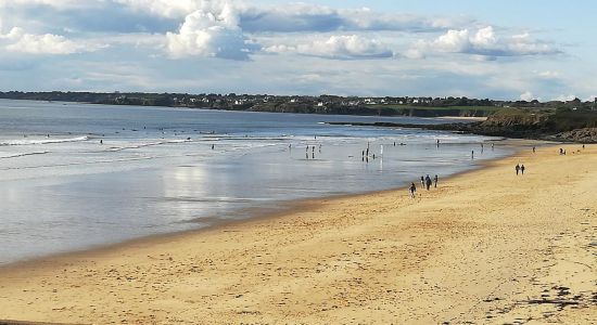 Plage du Loc'h