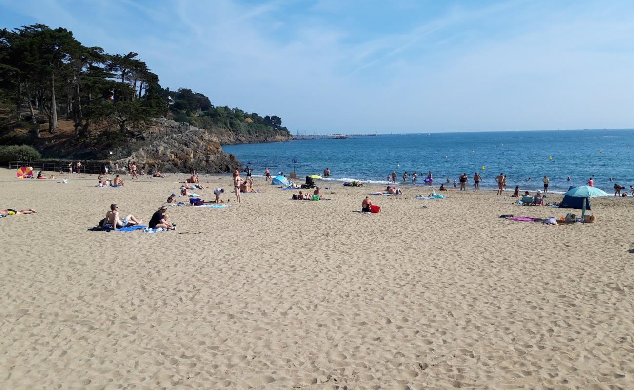 Plage du Moulin'in fotoğrafı açık bej kum yüzey ile