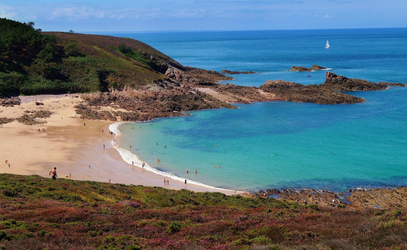 Plage du Portuais'in fotoğrafı açık bej kum yüzey ile