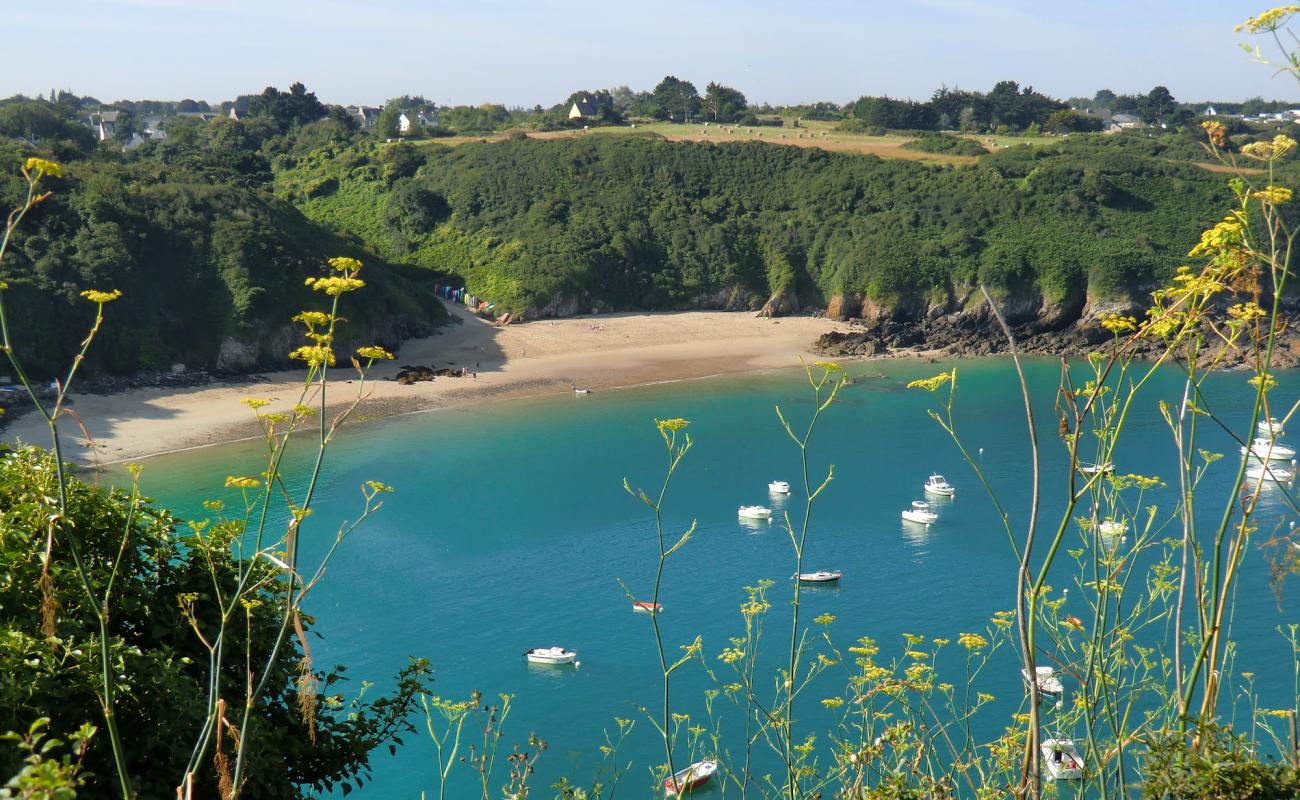Plage de la Fresnaye'in fotoğrafı açık bej kum yüzey ile