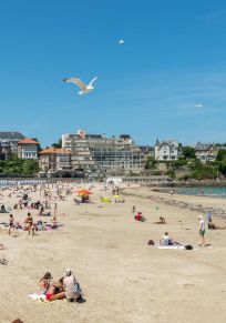 Dinard