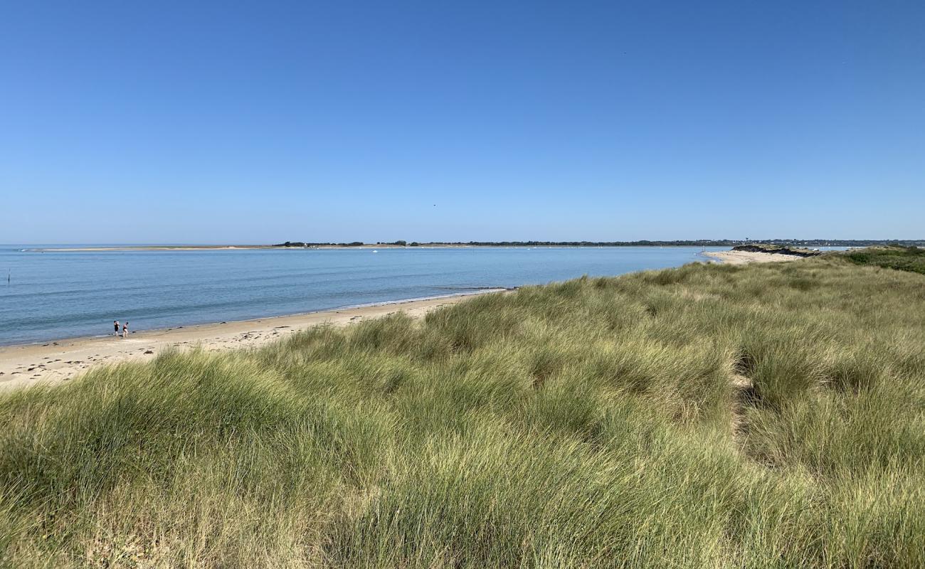 Montmartin beach'in fotoğrafı parlak kum yüzey ile