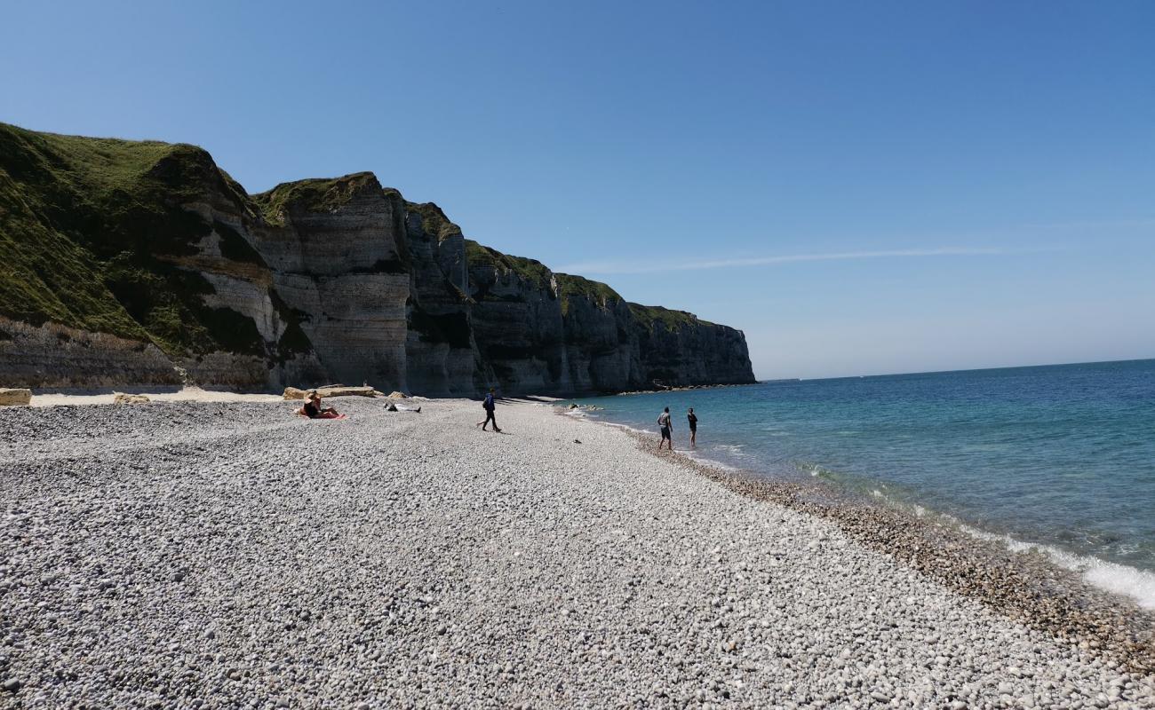 Plage du Tilleul'in fotoğrafı gri çakıl taşı yüzey ile