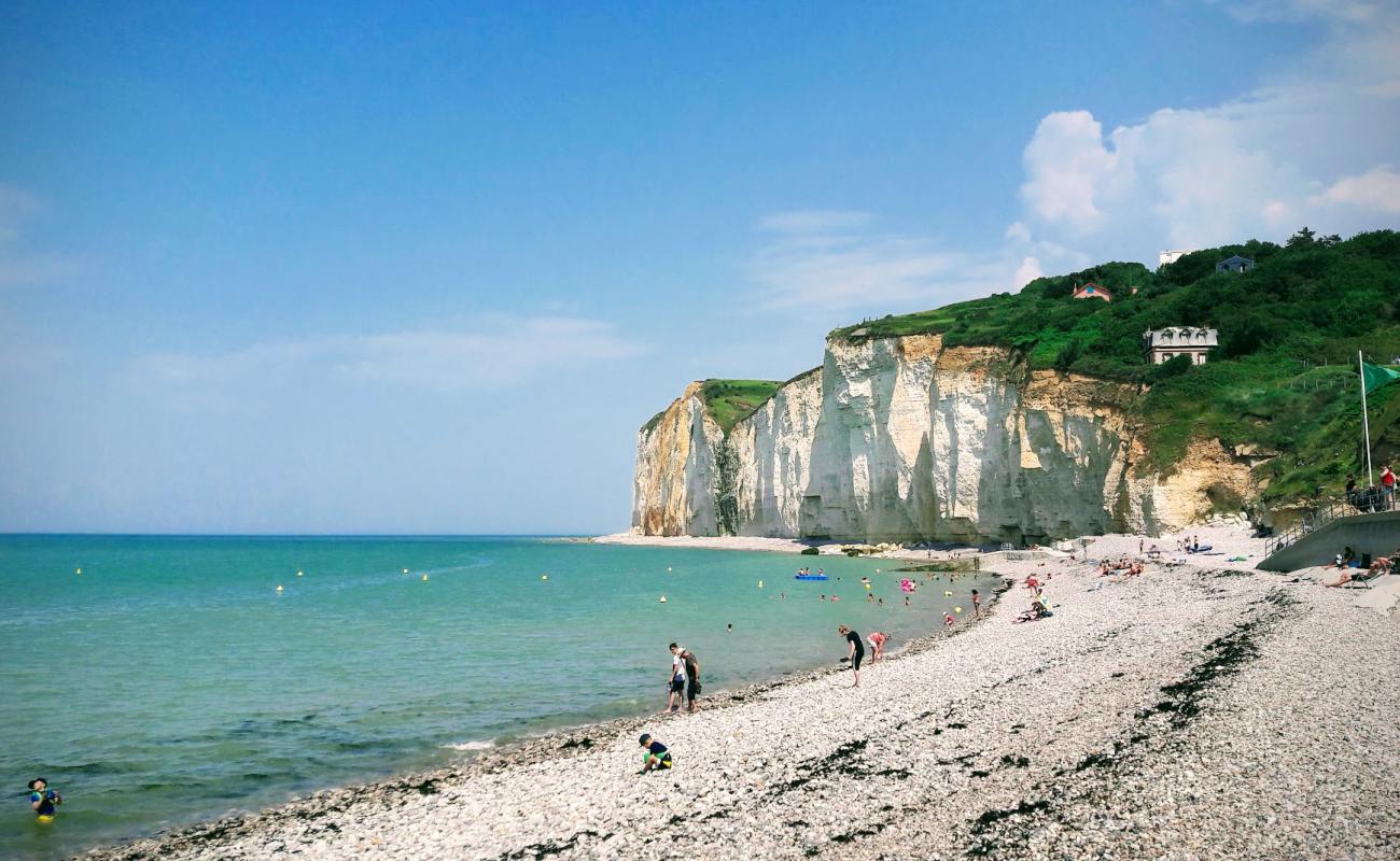 Plage de Saint-Pierre-en-Port'in fotoğrafı hafif çakıl yüzey ile