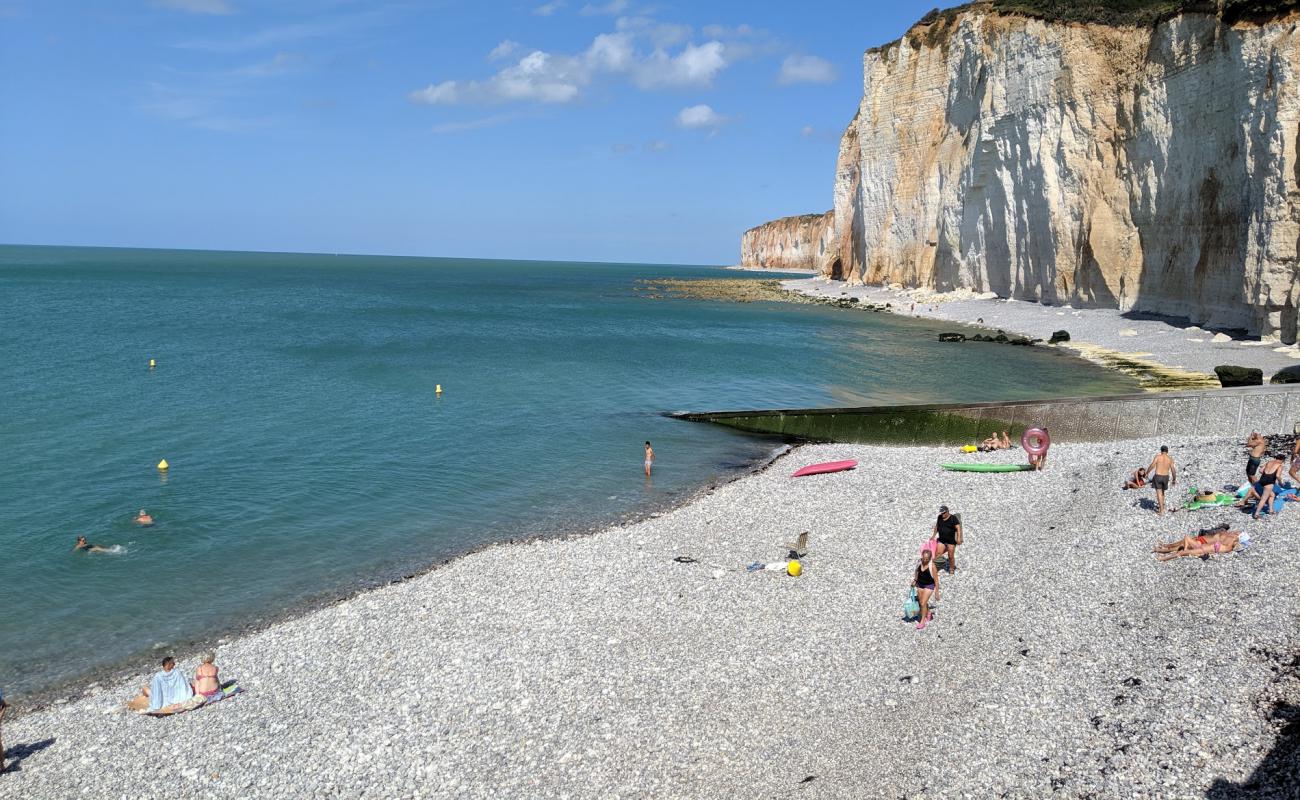 Plage des Grandes Dalles'in fotoğrafı taşlar yüzey ile