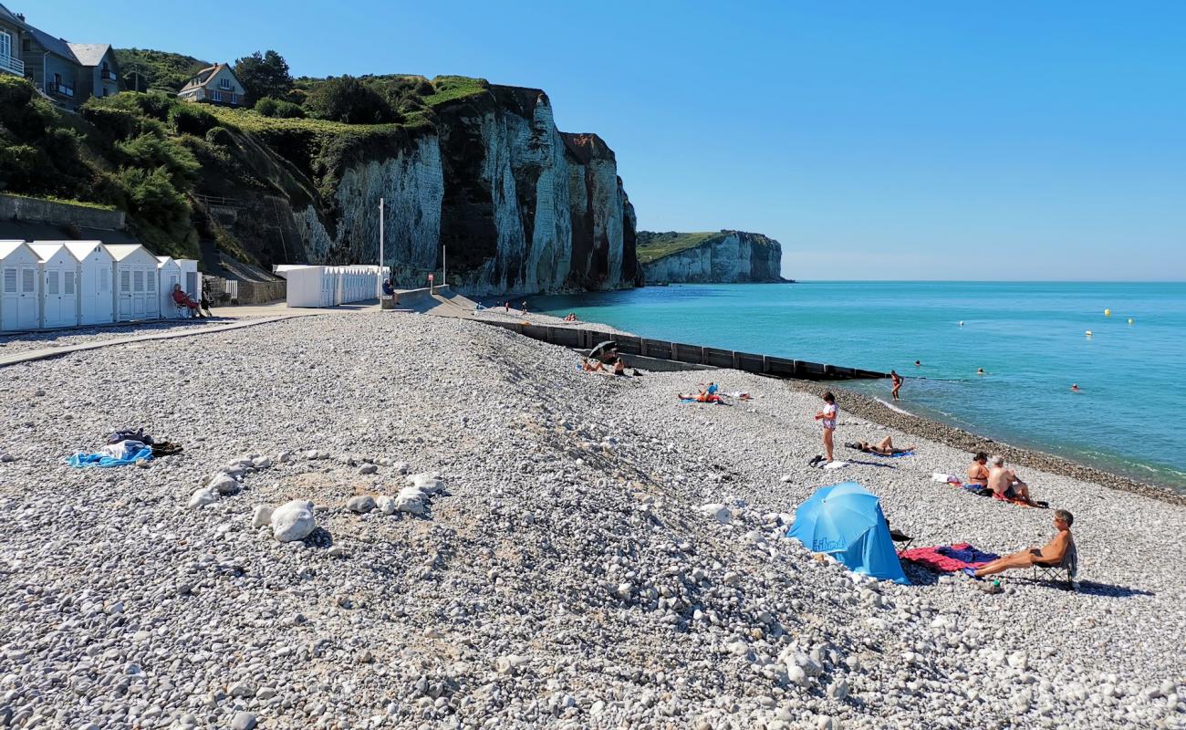 Plage des Petites Dalles'in fotoğrafı hafif çakıl yüzey ile