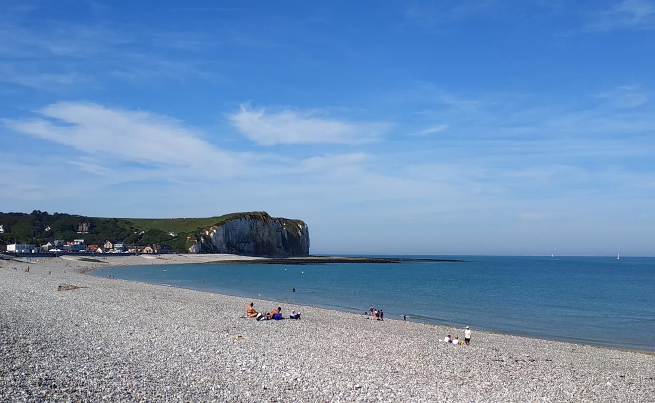 Plage de Veulettes-sur-Mer'in fotoğrafı hafif çakıl yüzey ile