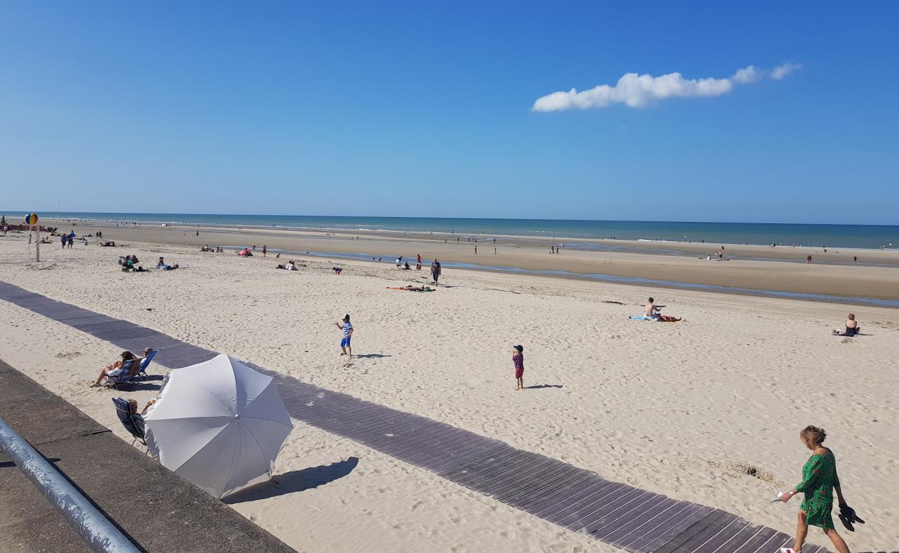 Plage Le Touquet'in fotoğrafı açık bej kum yüzey ile