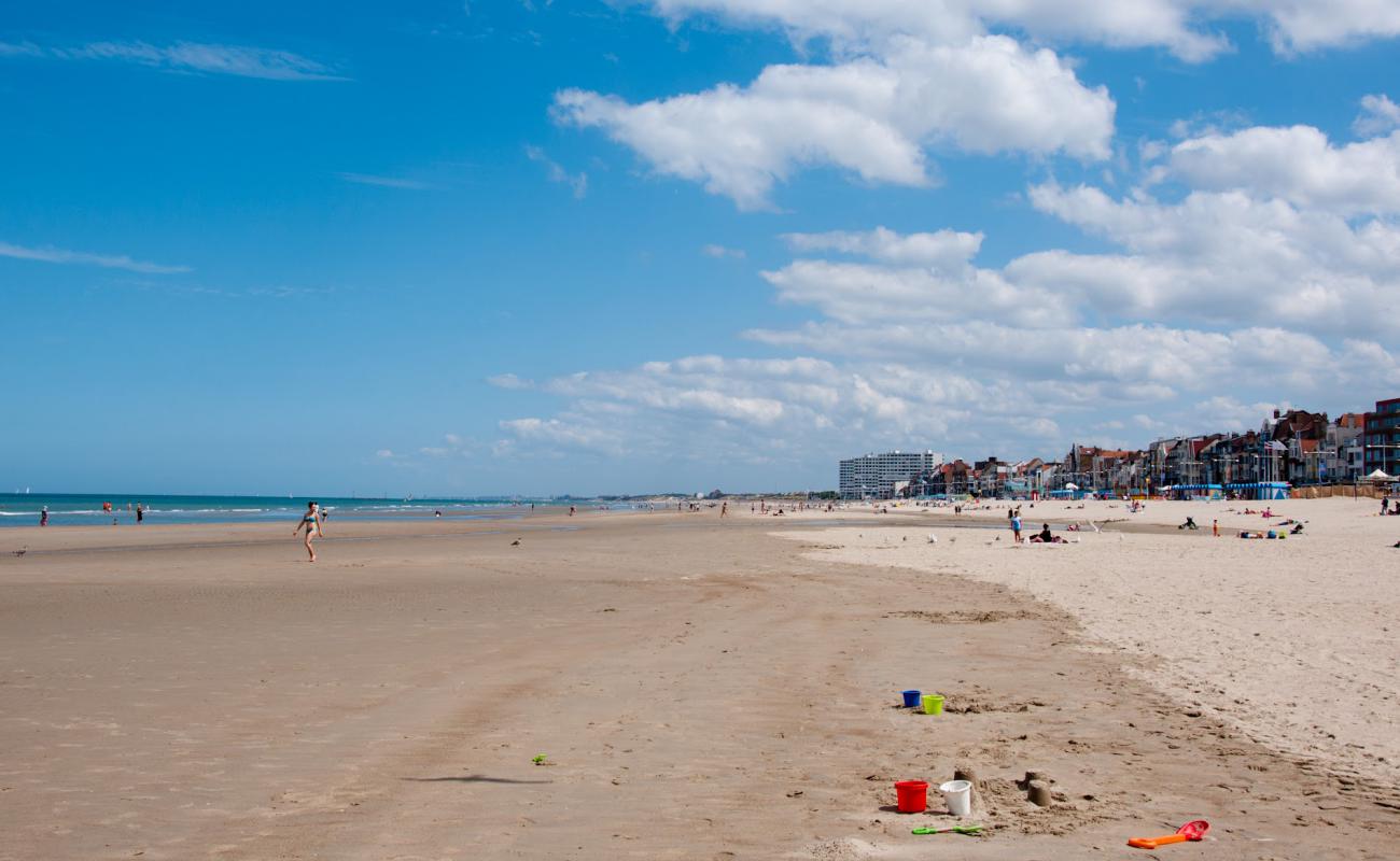 Plage de Malo-les-Bains'in fotoğrafı parlak kum yüzey ile