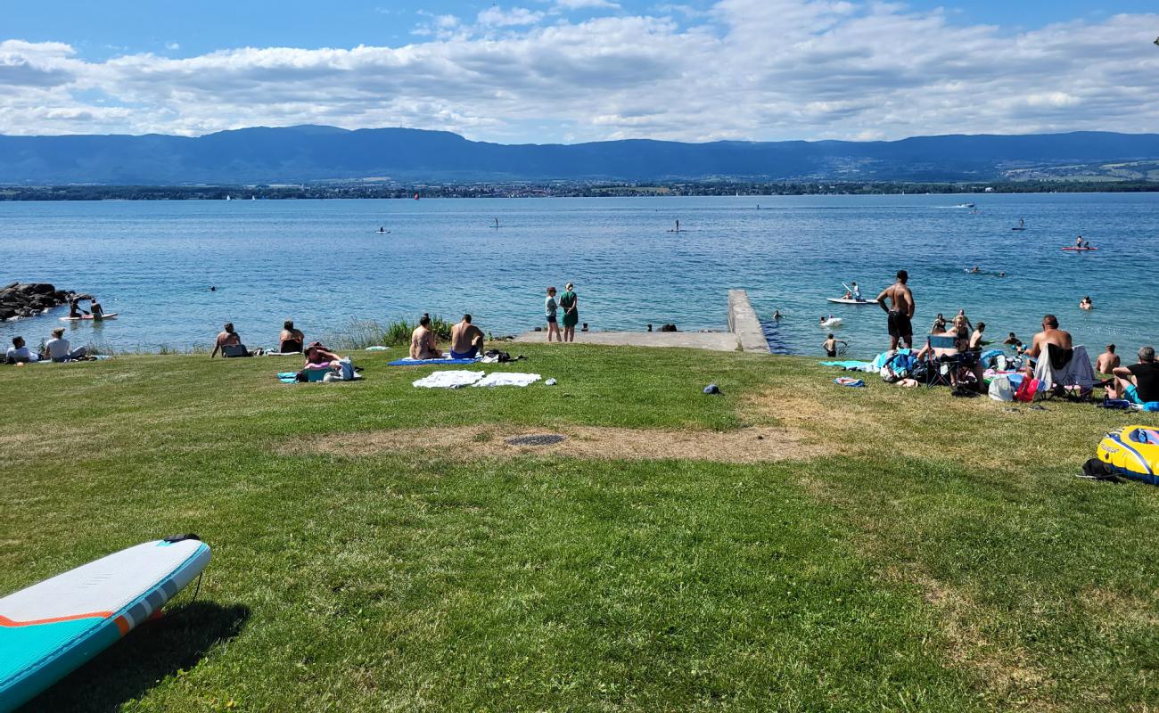 Plage de Messery'in fotoğrafı çim yüzey ile