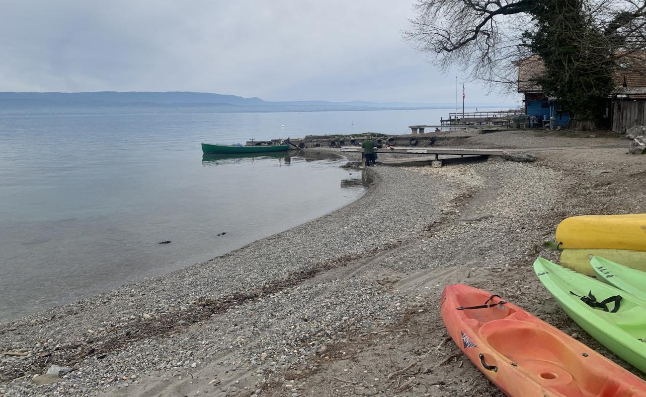 Plage de Sciez'in fotoğrafı gri ince çakıl taş yüzey ile