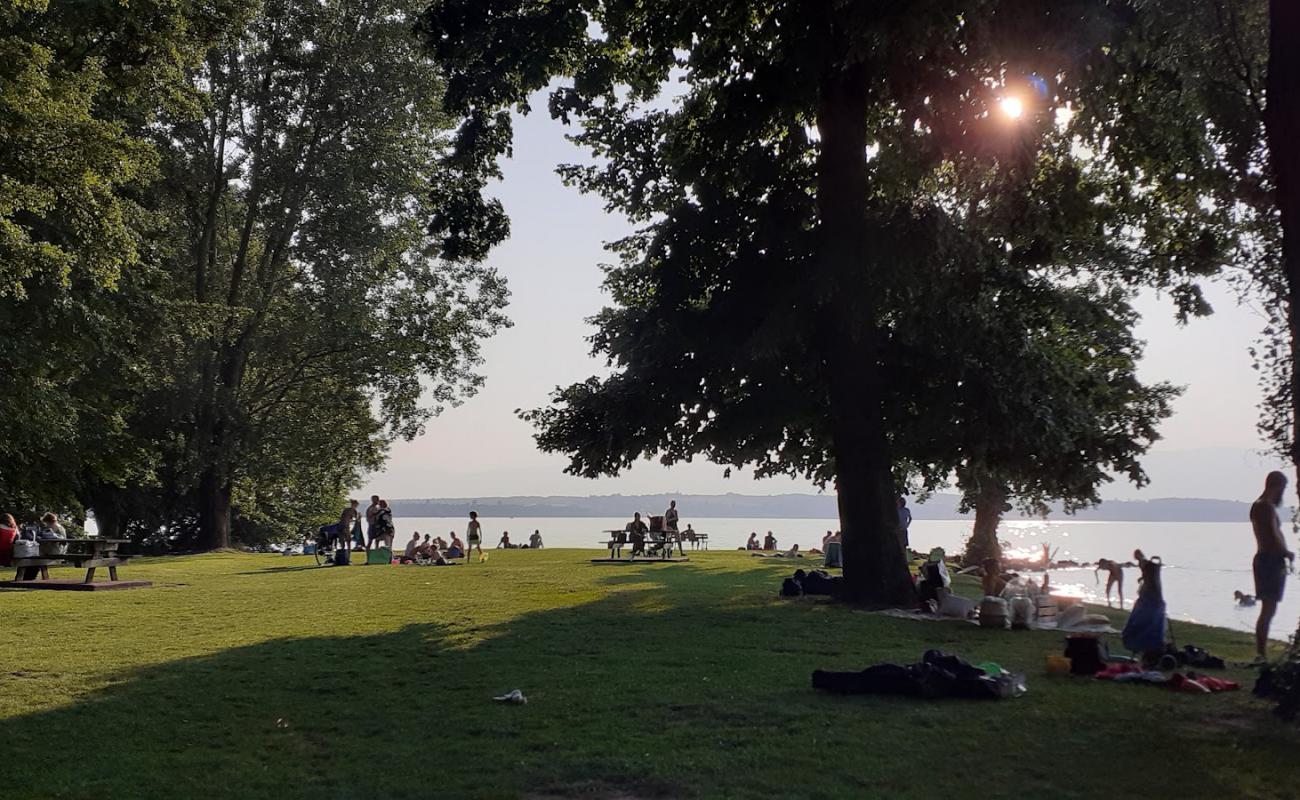 Plage du Redon'in fotoğrafı çim yüzey ile