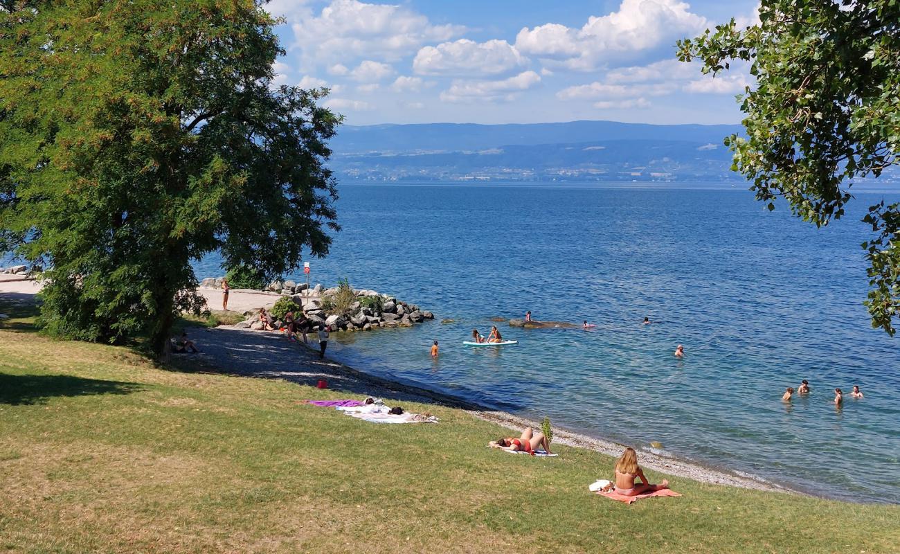 Plage des Recorts'in fotoğrafı çim yüzey ile