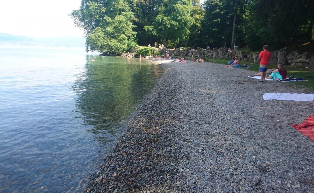 Plage de Tourronde'in fotoğrafı gri çakıl taşı yüzey ile