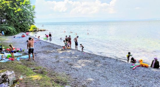 Plage de Vindry