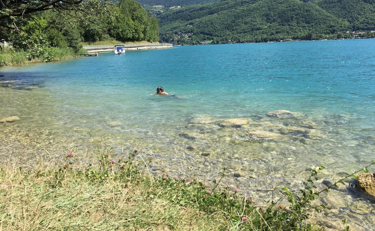 Grassy Knoll By Lake Beach'in fotoğrafı çim yüzey ile