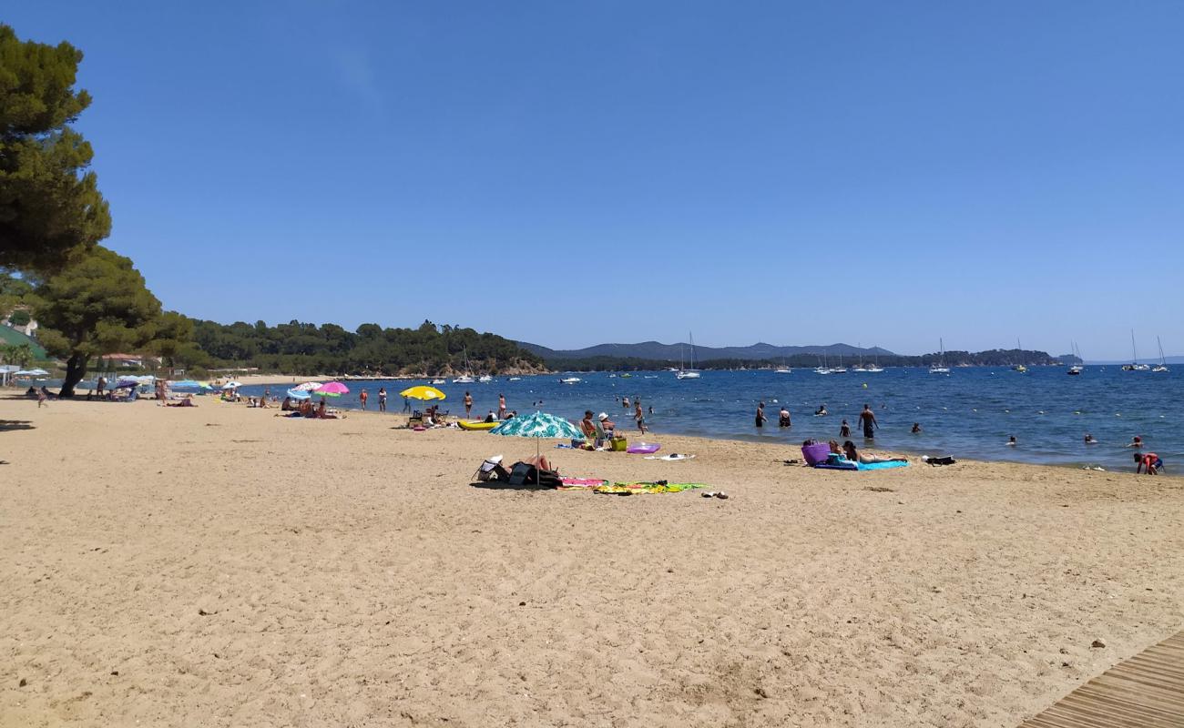 Plage de l'Argentiere'in fotoğrafı açık bej kum yüzey ile