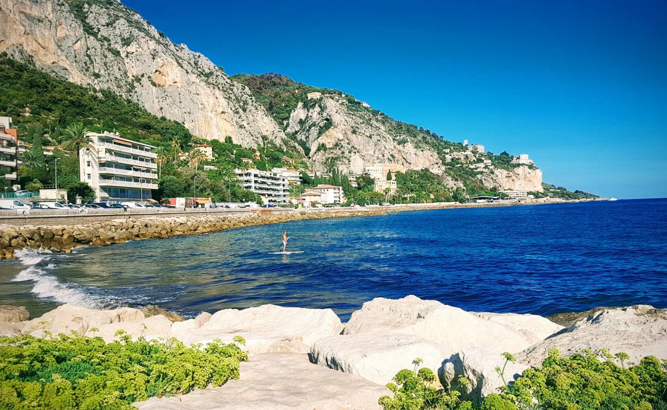 Plage pour les Chiens'in fotoğrafı taşlar yüzey ile