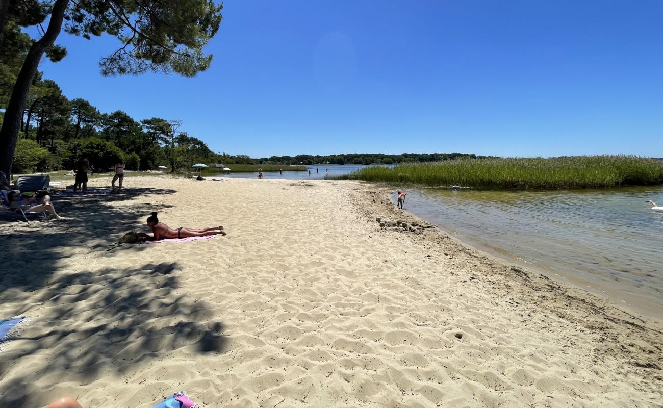 Sanguinet plage'in fotoğrafı parlak kum yüzey ile