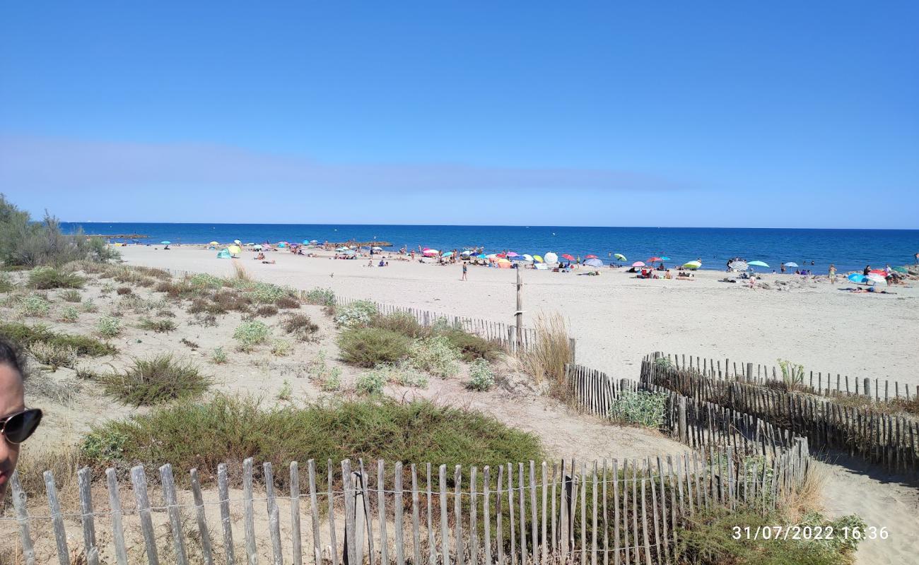 Plage des Aresquiers'in fotoğrafı açık bej kum yüzey ile
