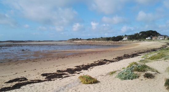 Plage de Goas Treiz