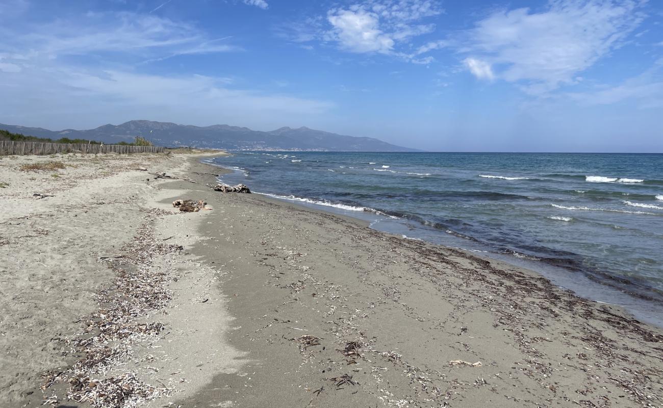 Plage de Pineto'in fotoğrafı parlak kum yüzey ile