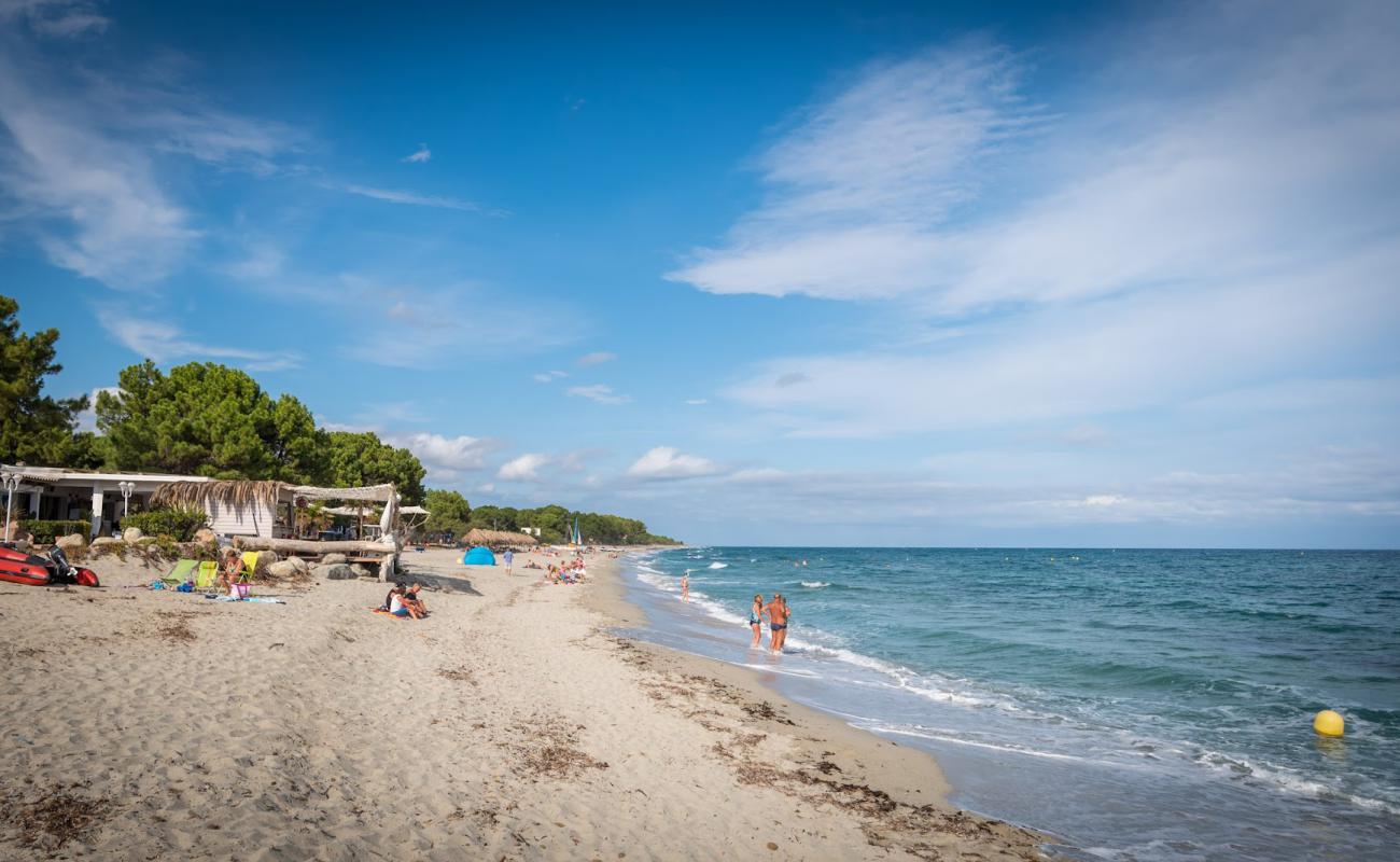 Plage de Calzarellu'in fotoğrafı parlak kum yüzey ile