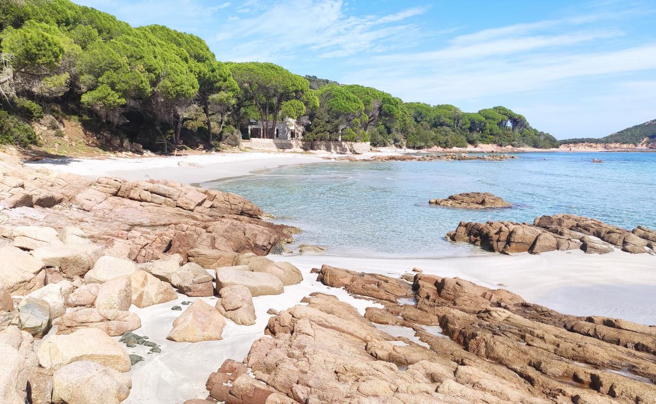 Plage de Capu Di Fora'in fotoğrafı parlak kum yüzey ile