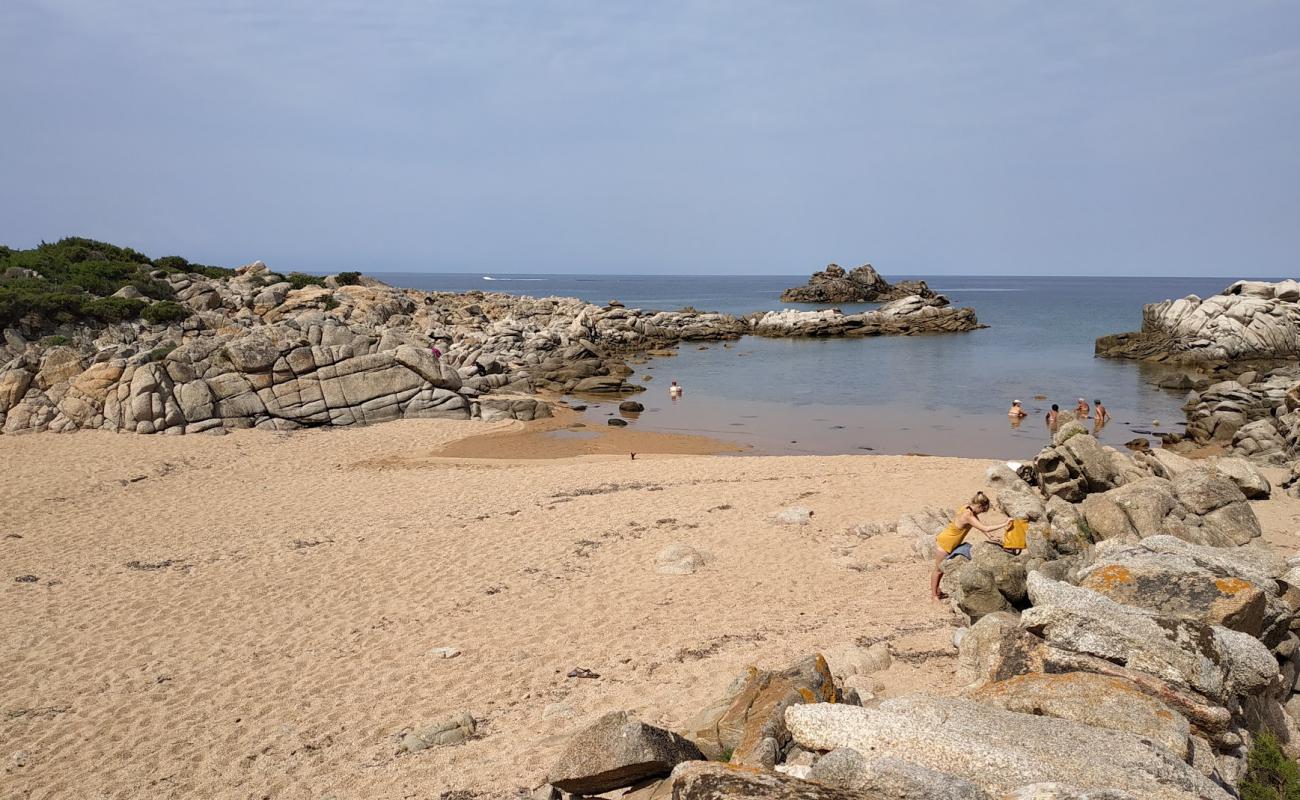 Plage de Campumoru-Senetosa'in fotoğrafı parlak kum yüzey ile