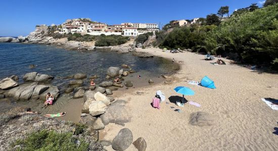 Plage du Roncu