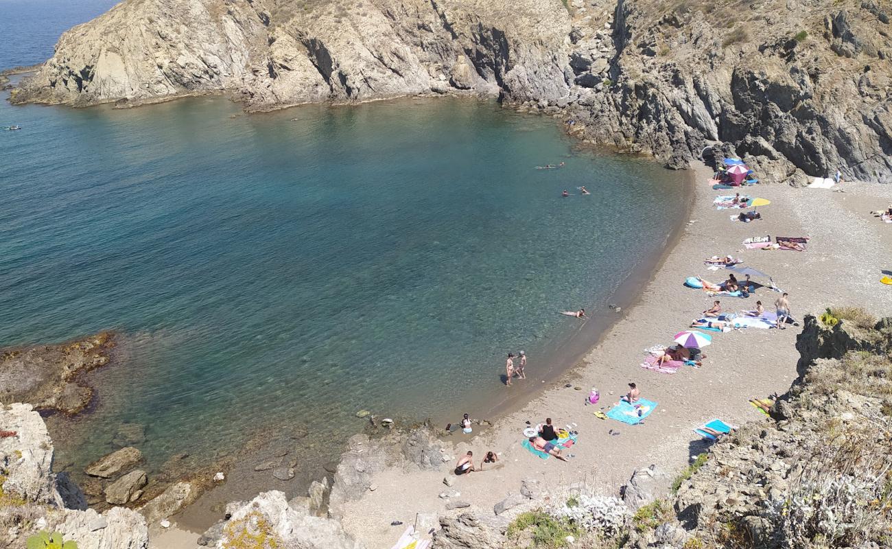 Plage du Troc'in fotoğrafı küçük gri çakıllar yüzey ile