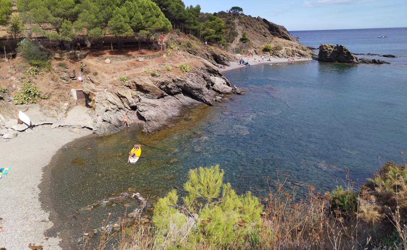 Valenti Plage'in fotoğrafı gri çakıl taşı yüzey ile