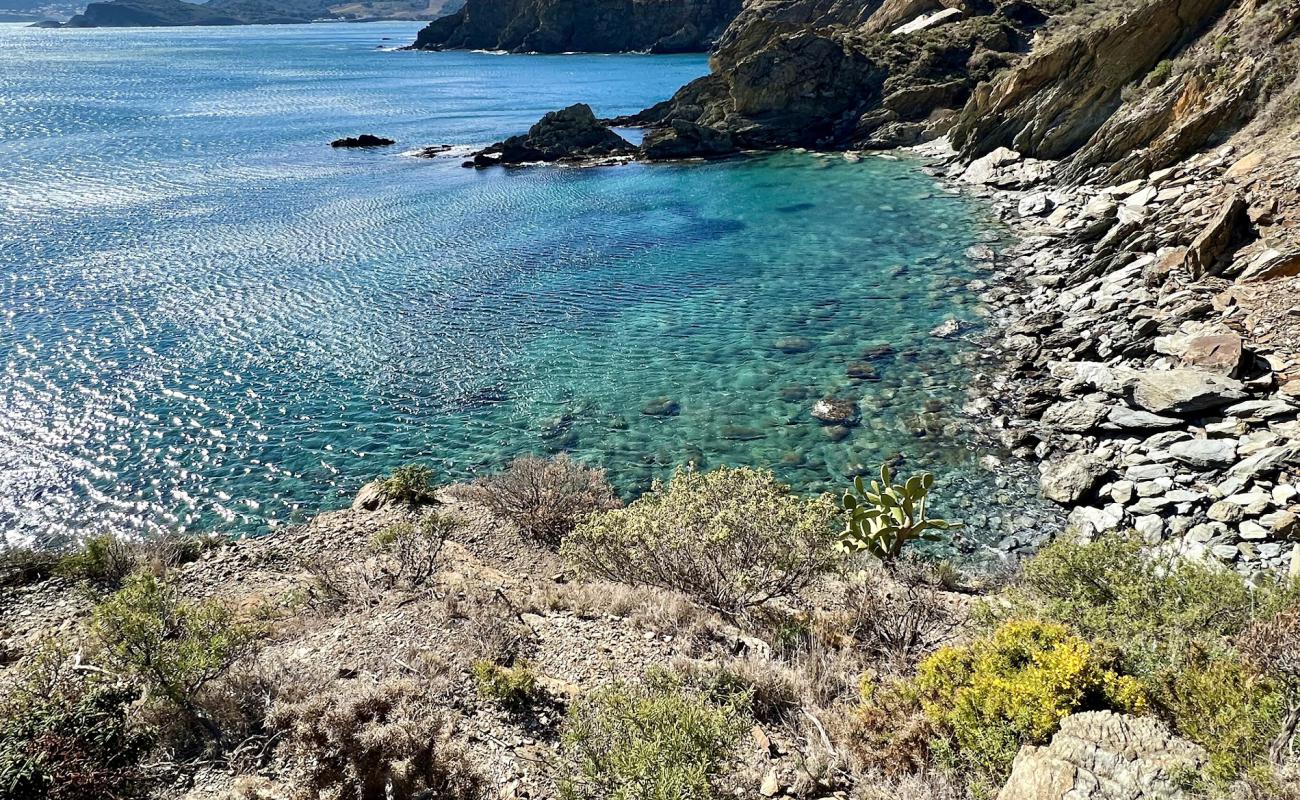 Plage Anse Sainte-Catherine'in fotoğrafı kayalık arazi yüzey ile