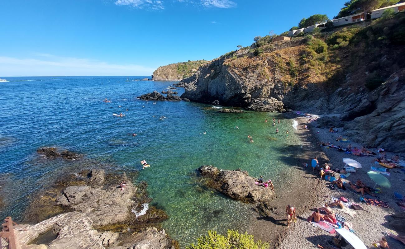 Plage Les Criques de Porteils'in fotoğrafı gri ince çakıl taş yüzey ile