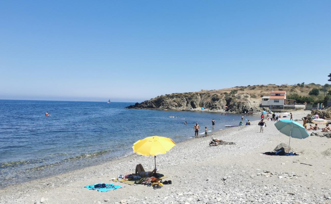 Plage Anse du Portell'in fotoğrafı gri çakıl taşı yüzey ile