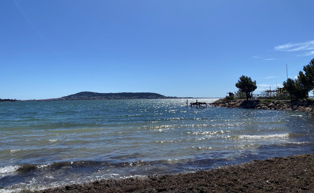 Plage de la Pyramide'in fotoğrafı açık bej kum yüzey ile