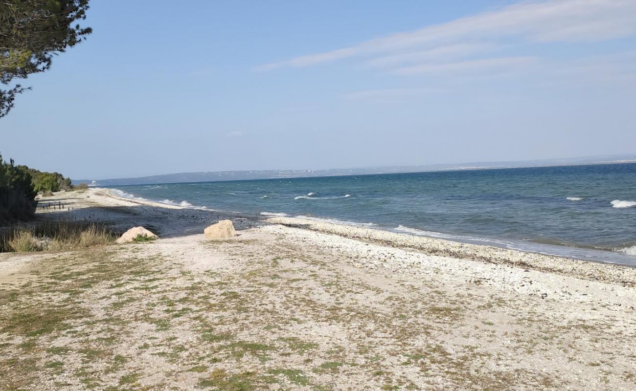 Plage de Figuerolles'in fotoğrafı bej kabuklu kum yüzey ile