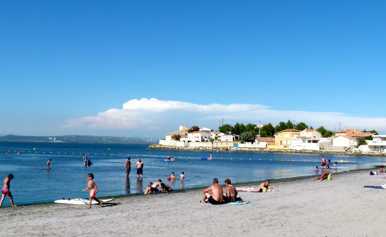 Plage de Massane'in fotoğrafı parlak kum yüzey ile