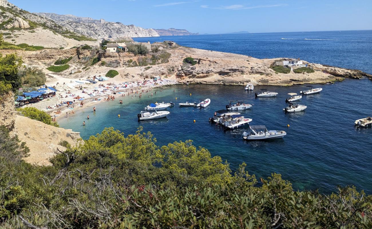 Calanque de Marseilleveyre'in fotoğrafı taşlı kum yüzey ile