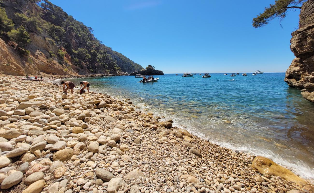 Plage de La Galere'in fotoğrafı kayalık arazi yüzey ile