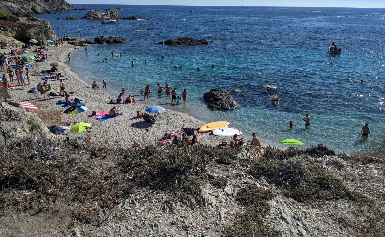 Plage des Allemands'in fotoğrafı gri ince çakıl taş yüzey ile