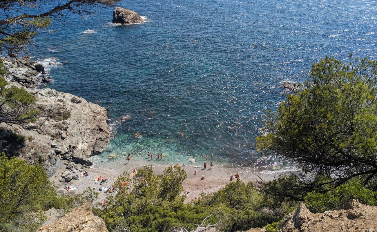 Plage du Mont Salva'in fotoğrafı gri ince çakıl taş yüzey ile