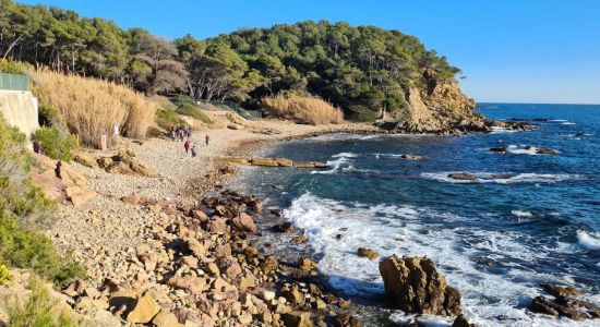 Plage De Grave