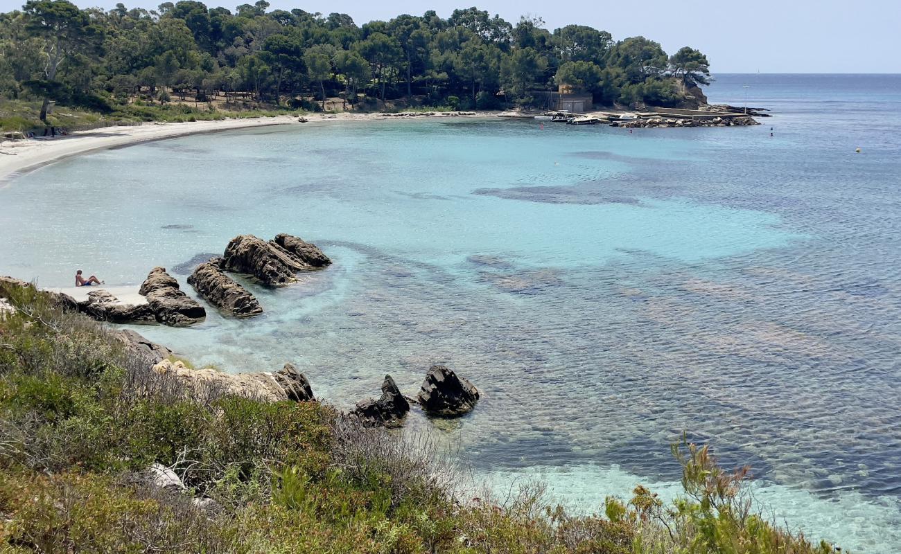 Plage de la Vignasse'in fotoğrafı parlak kum yüzey ile