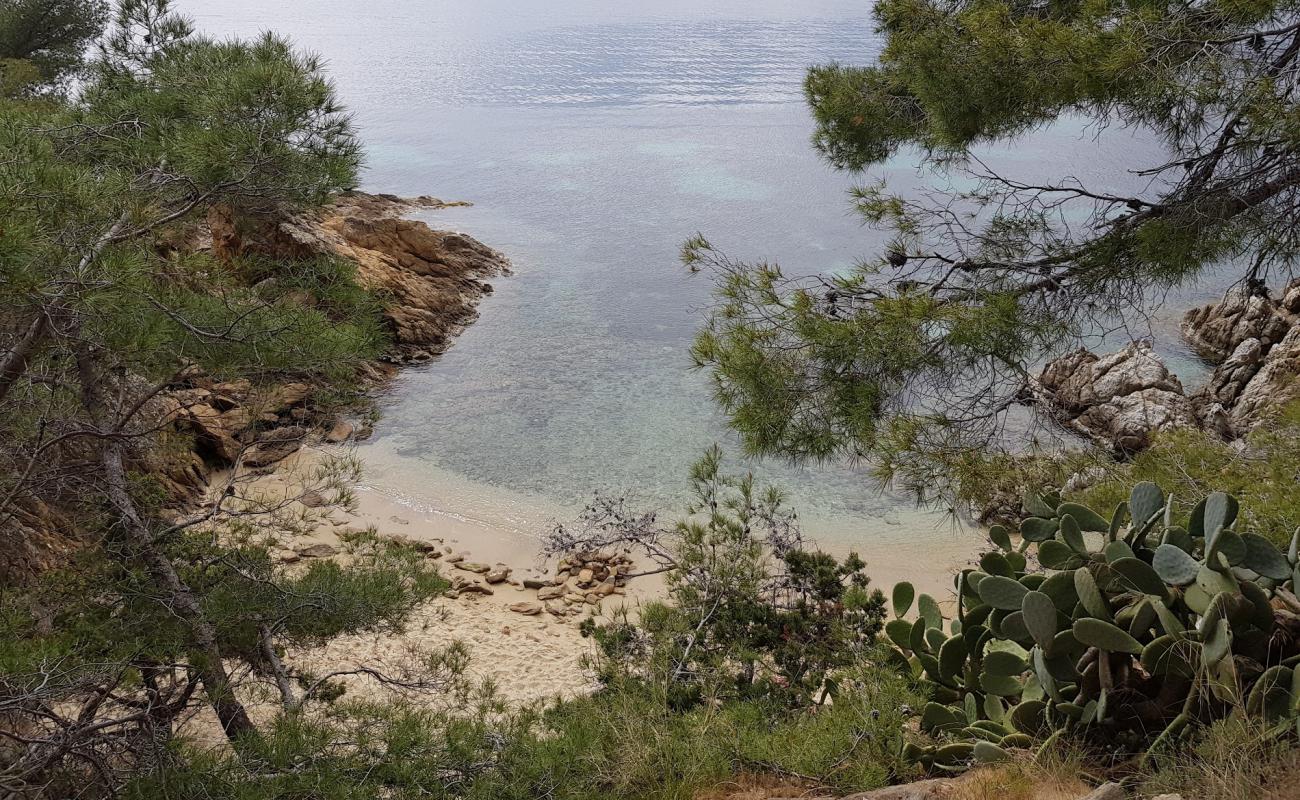 Plage naturiste du Rossignol'in fotoğrafı gri kum yüzey ile