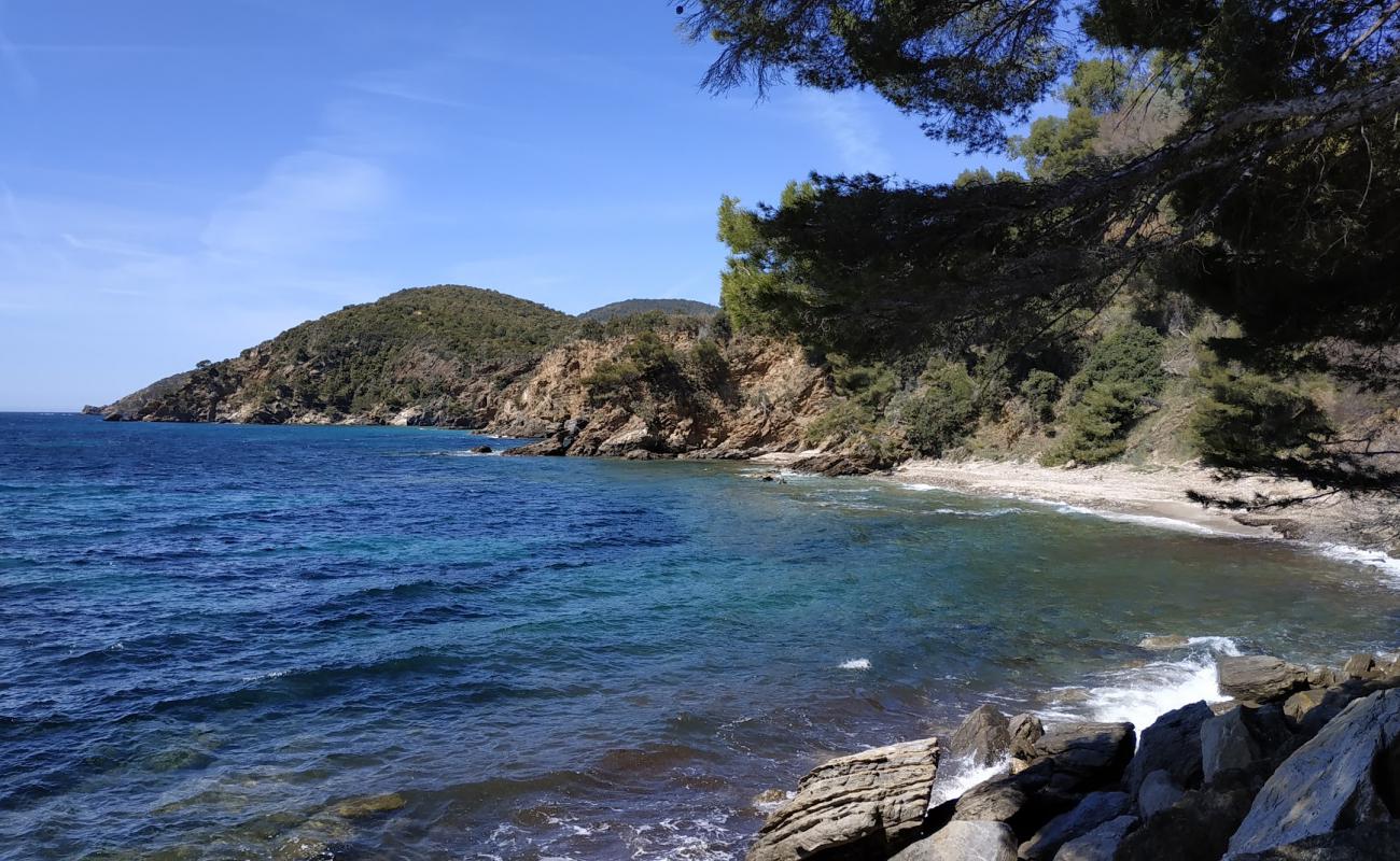 Plage des Amphores'in fotoğrafı taşlar yüzey ile