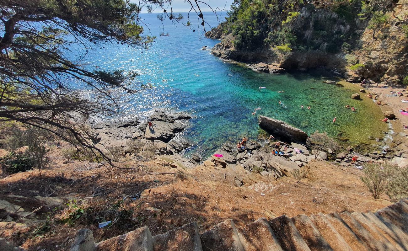 Calanque Plage'in fotoğrafı taşlar yüzey ile