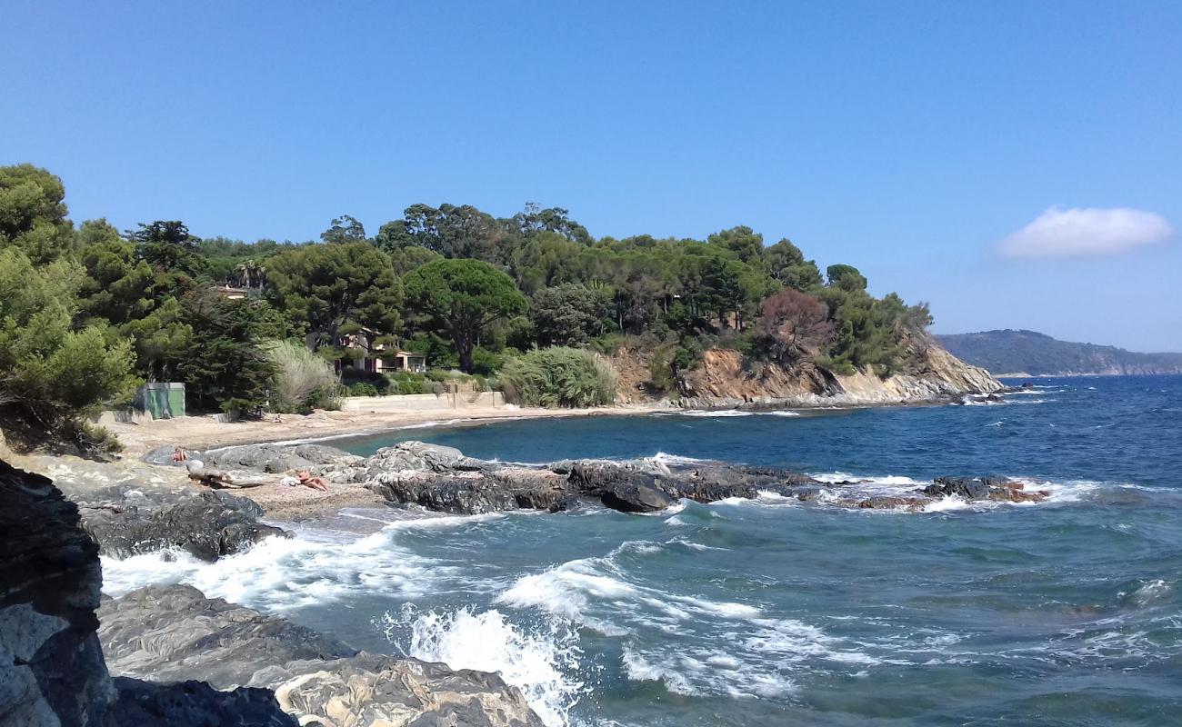 Plage du Vergeron'in fotoğrafı gri ince çakıl taş yüzey ile