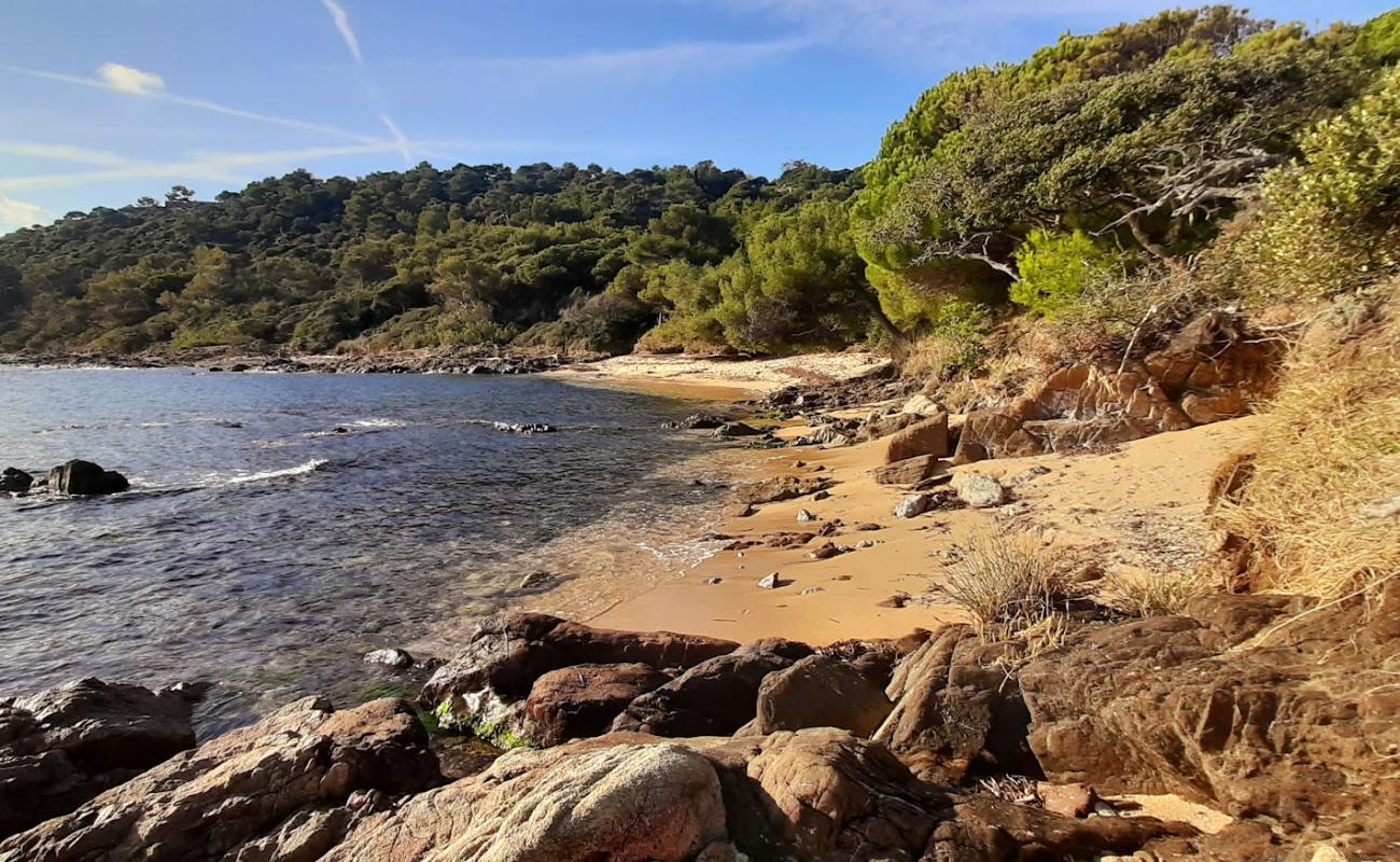 Plage de la Garrigue'in fotoğrafı parlak kum yüzey ile